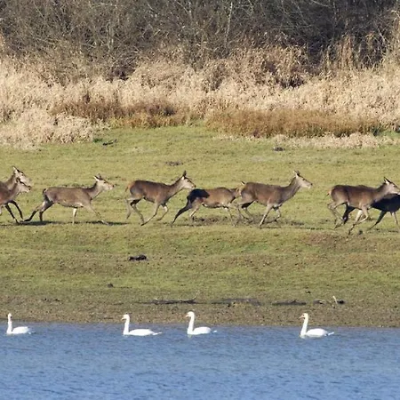 Сasa de vacaciones Au Village Du Domaine Le Colombier Dienville